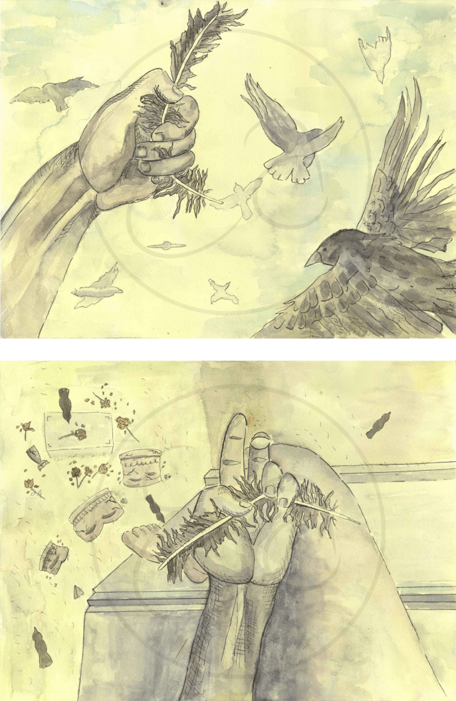 Hand holds broken raven feather and looks towards broken wing on ground