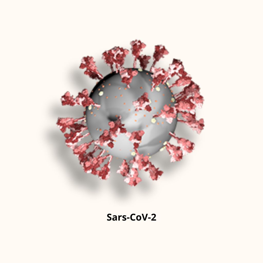 3D Render of Sars-CoV-2