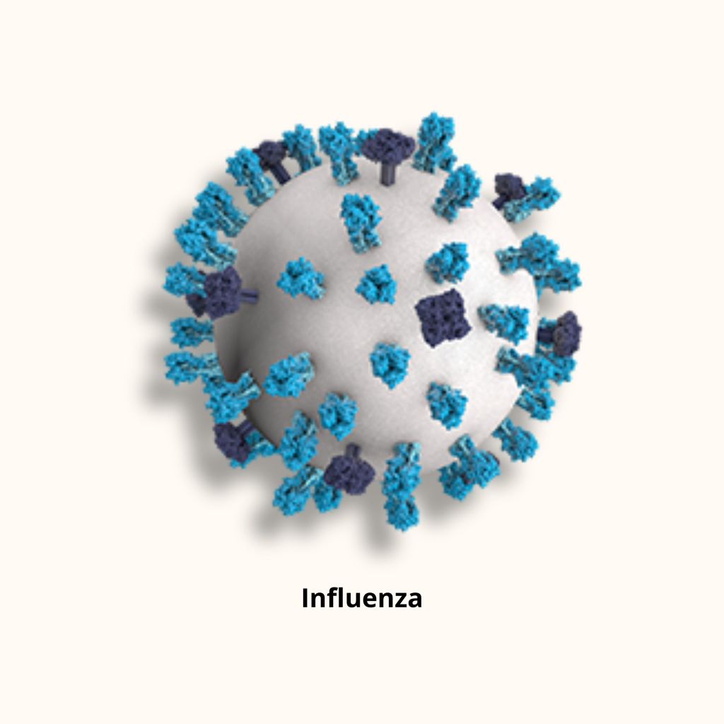 3D render of Influenza