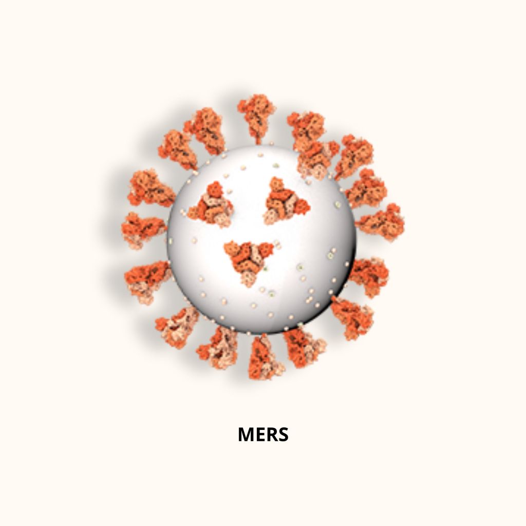 3D render of MERS