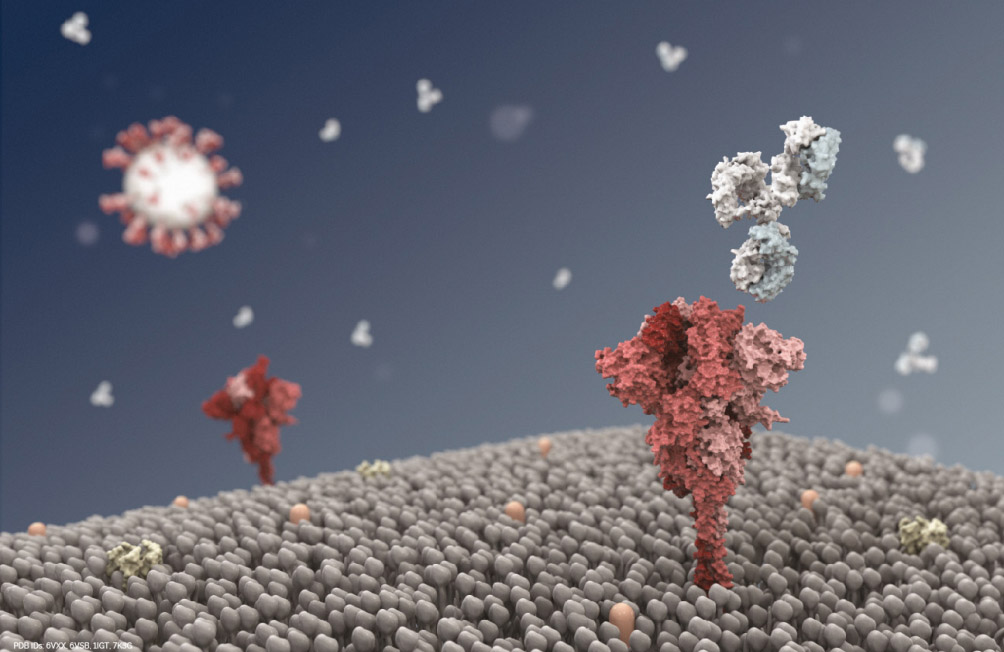 COVID-19 virus service rendering (Cinema 4D)