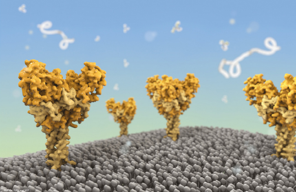 Ebola virus service rendering (Cinema 4D)