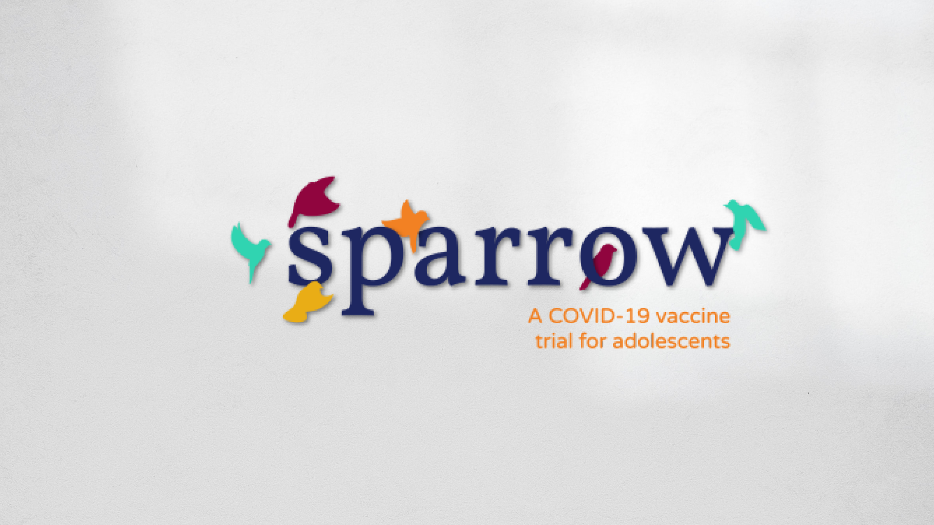 1st page of sparrow brand guide