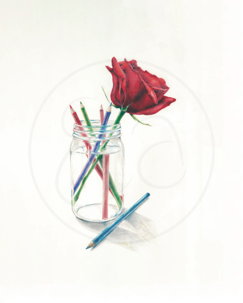 Rose and colored pencil still life