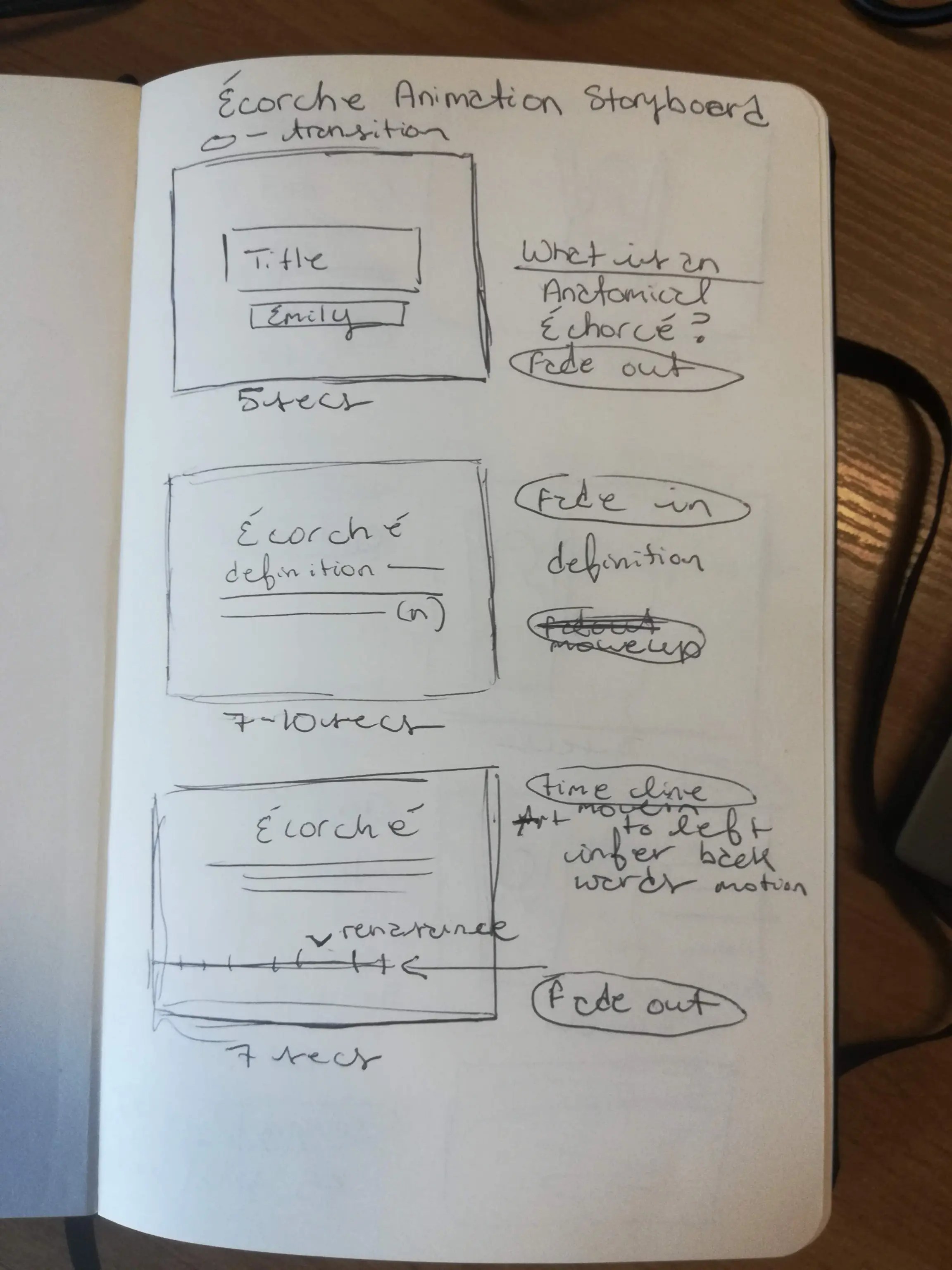Echorche animation storyboard