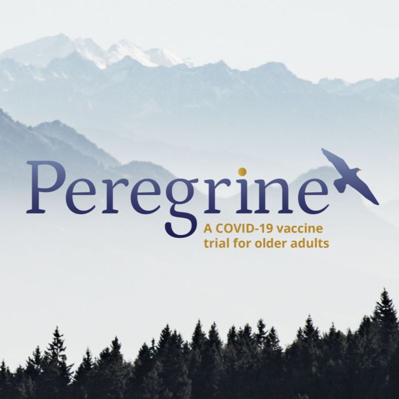 Peregrine Branding