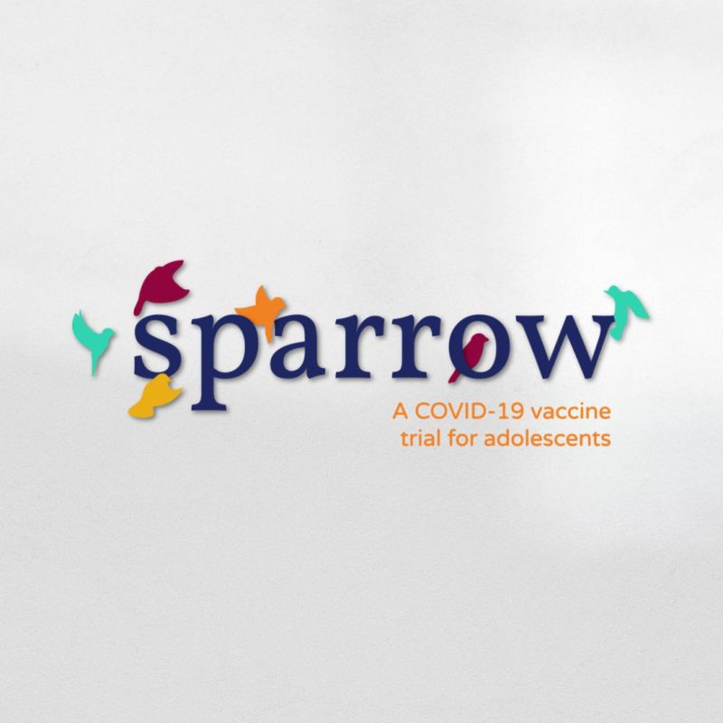 Sparrow Branding