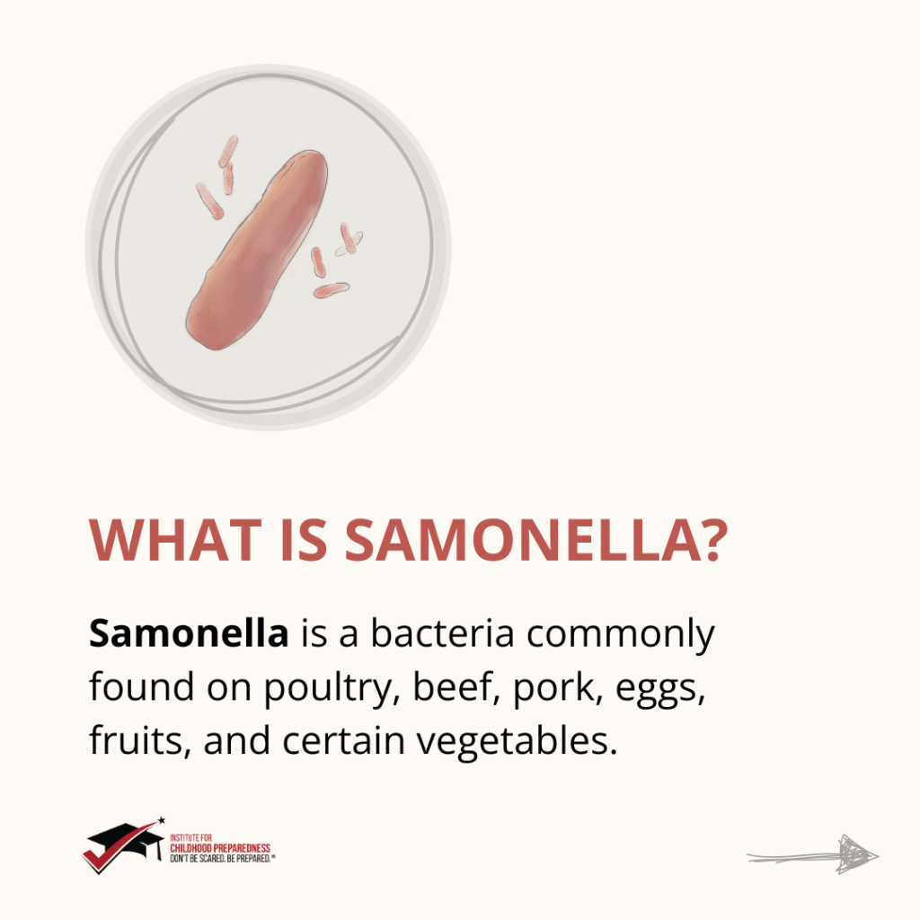 illustration of samonella bacteria