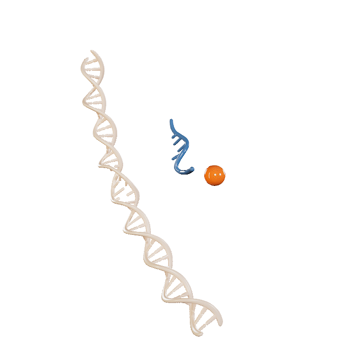 Genopsy visual identity upgrade and investor resources update