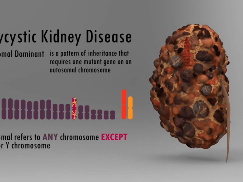 2D, 3D or&nbsp;Both?